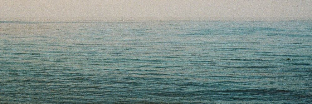 TheBeefyChiefy banner