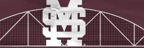 statefan346's profile banner image