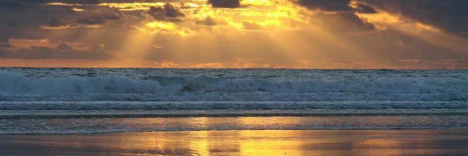 KellyLurtz's profile banner image