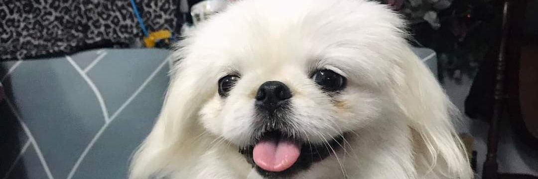 cloudmegan_'s profile banner image