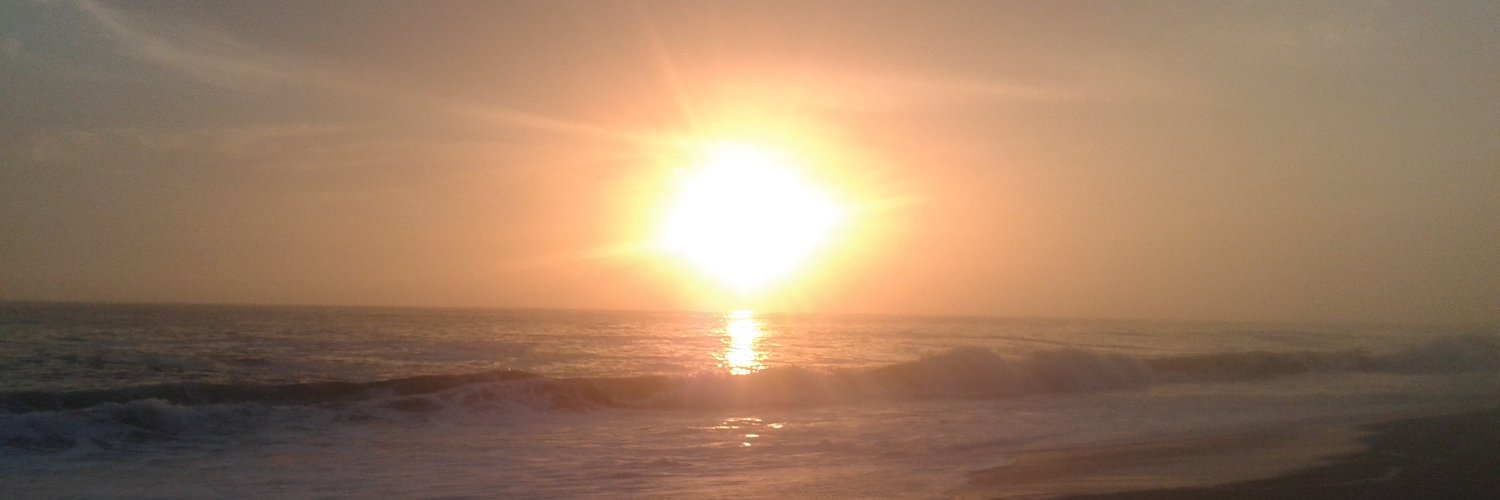 eco_cesar22's profile banner image