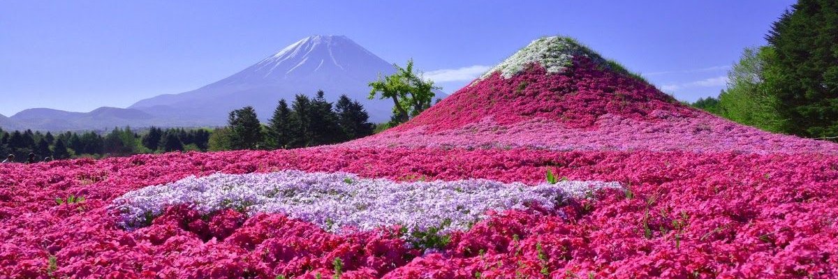 jenny_jkt's profile banner image