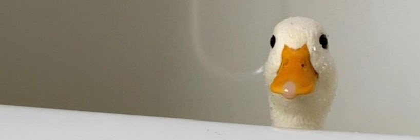 🥱 banner