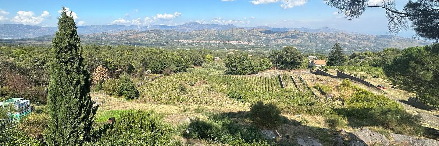 R.J. Carbone 🇺🇸🇮🇹 banner