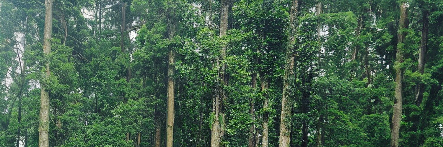 dandendon23's profile banner image