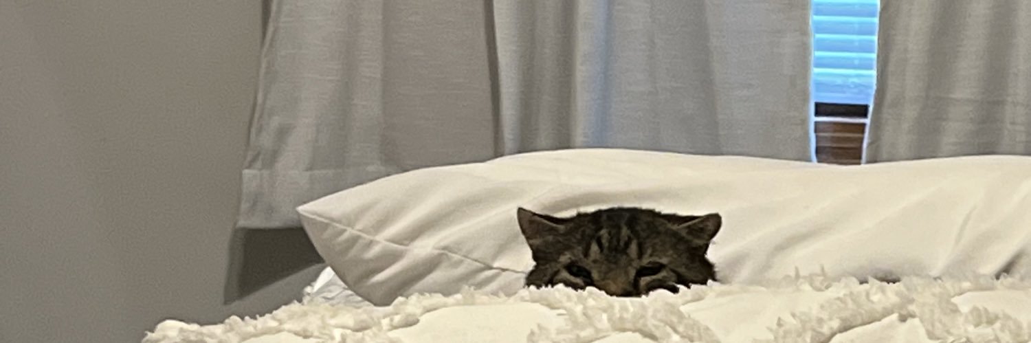 cheeko 🇵🇸 banner