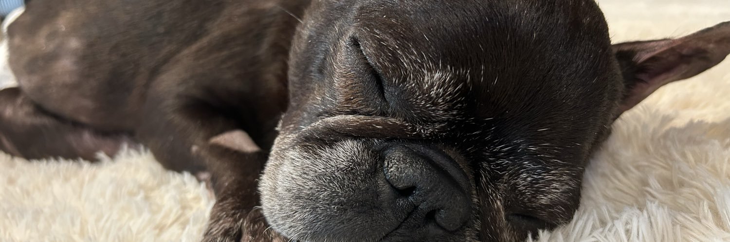 sas_ss_so's profile banner image