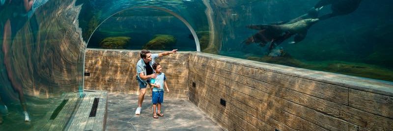 Visit Missouri banner