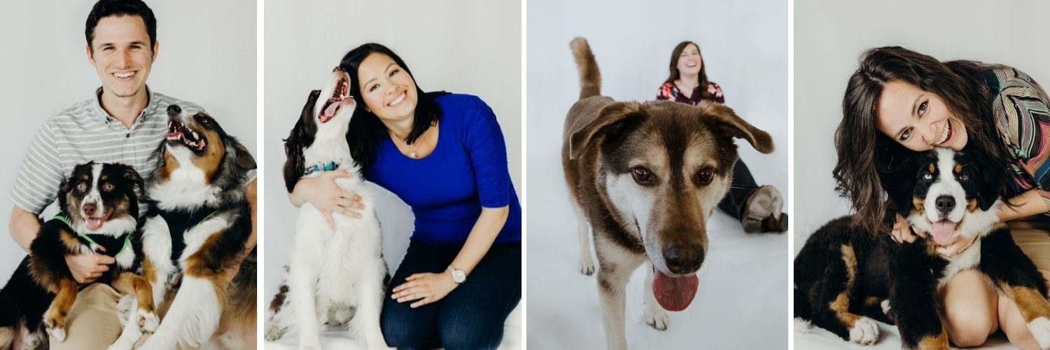 PetRelocation banner