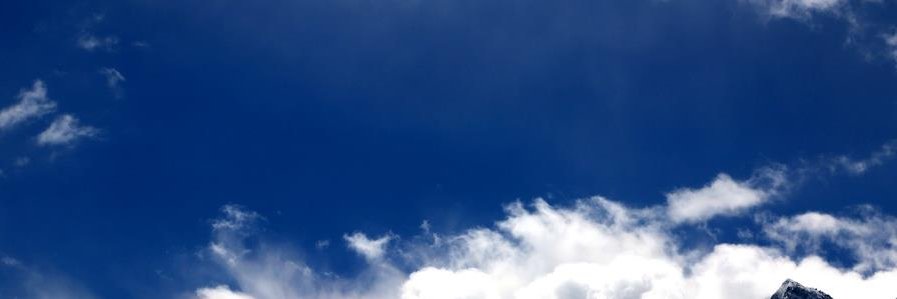 Blutfelsen's profile banner image