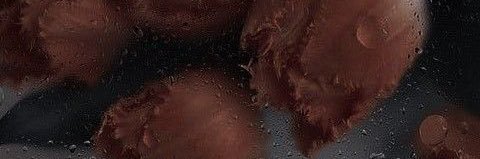 ゆ-な@低浮上 banner