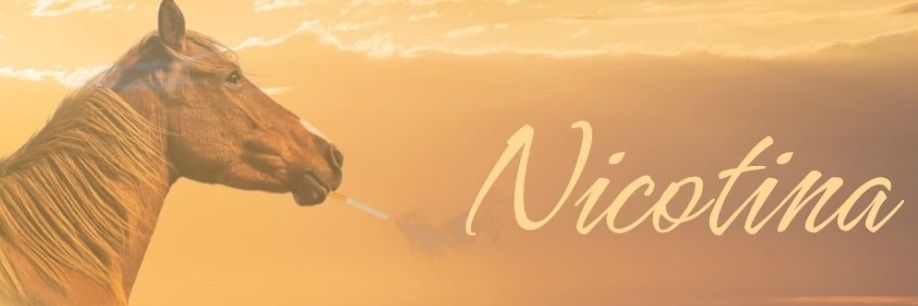 Paris goza doce banner