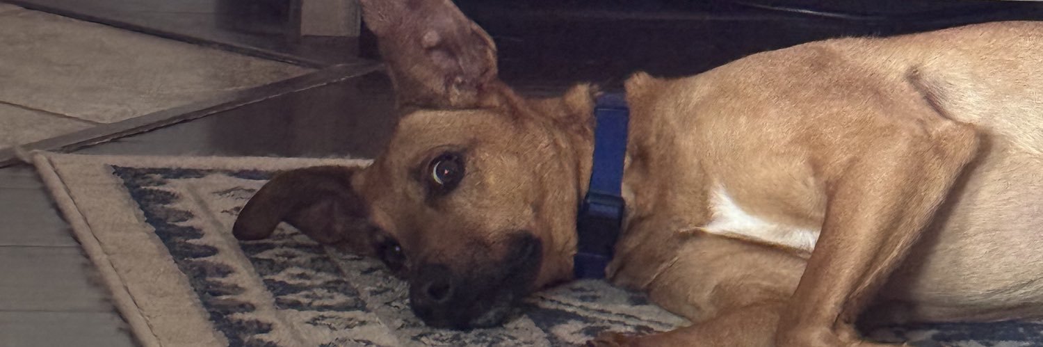 Head Beer Coach banner