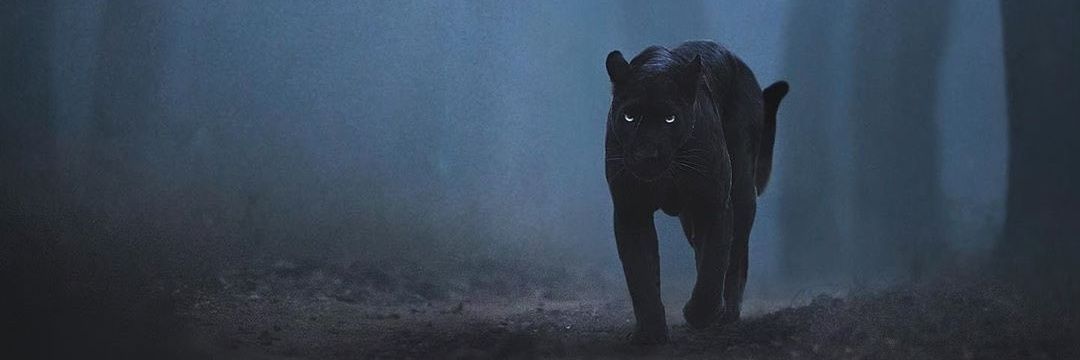 lawezor's profile banner image