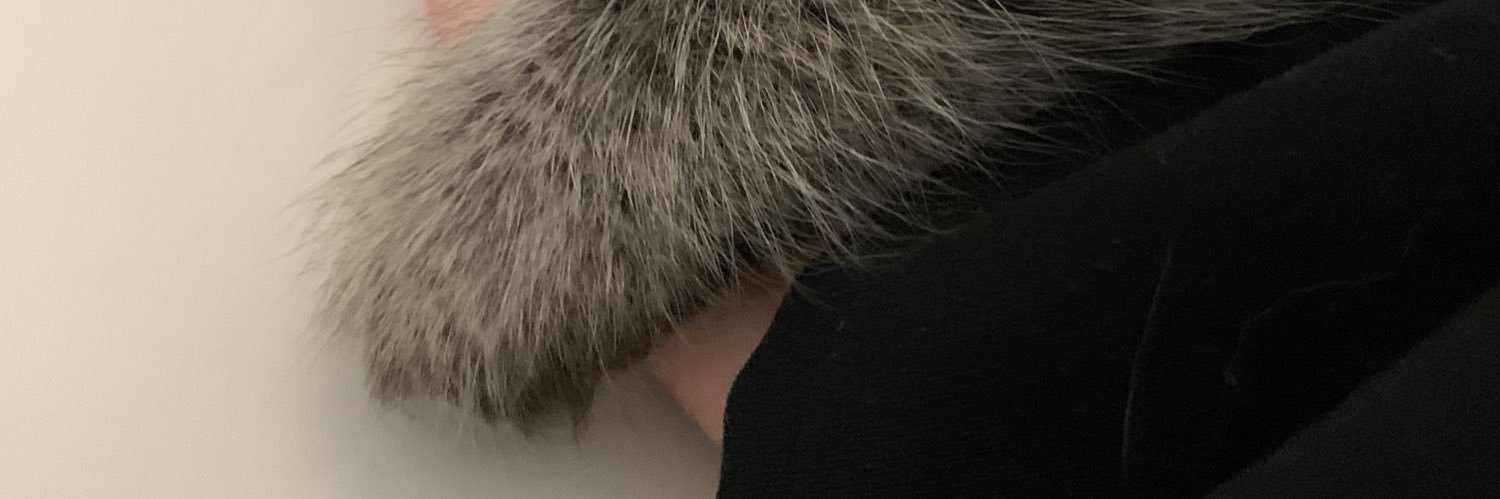 sardamutia's profile banner image