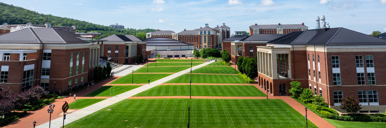 Liberty University's banner