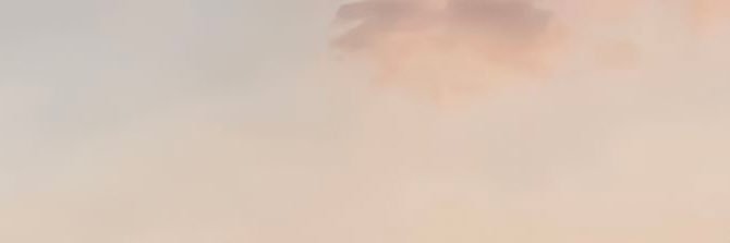 neylan banner