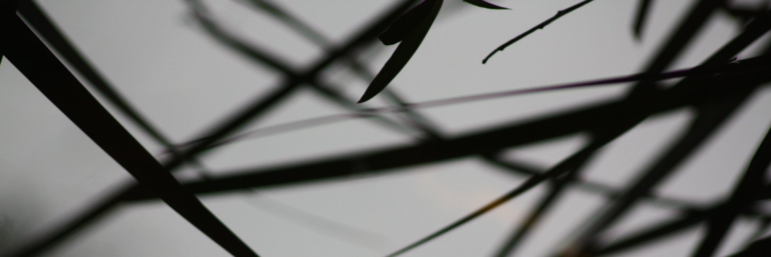 0xPiF banner