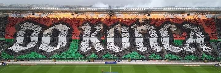 Salemkowe banner