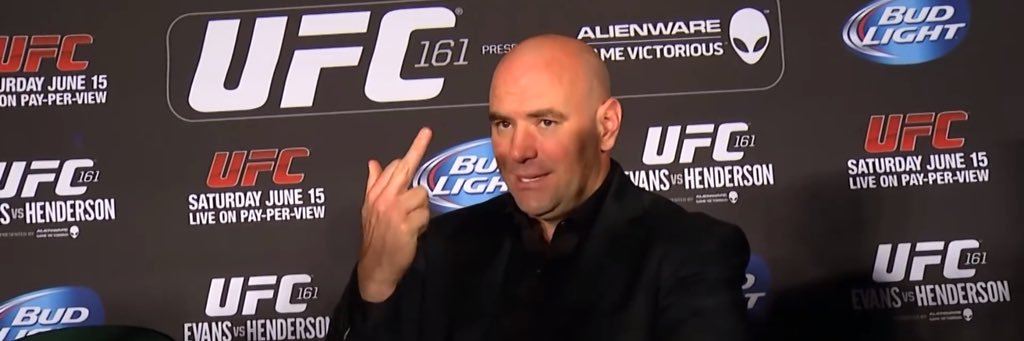 Funny MMA banner