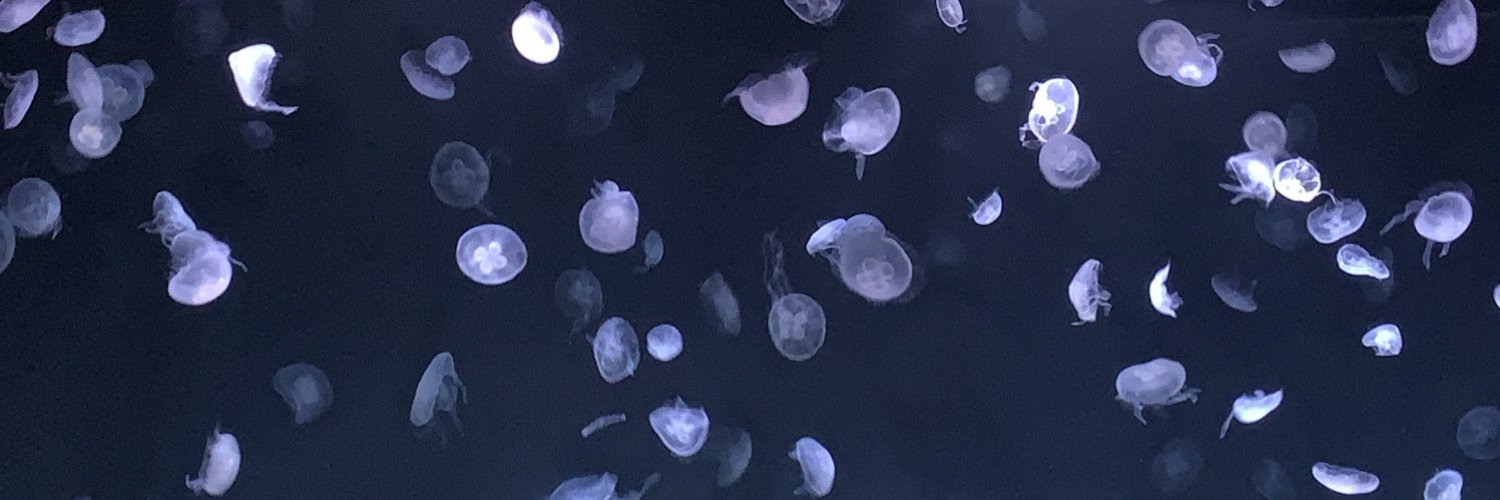 aimerskv's profile banner image
