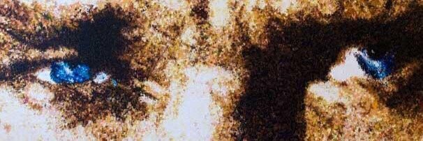tugbauunal's profile banner image