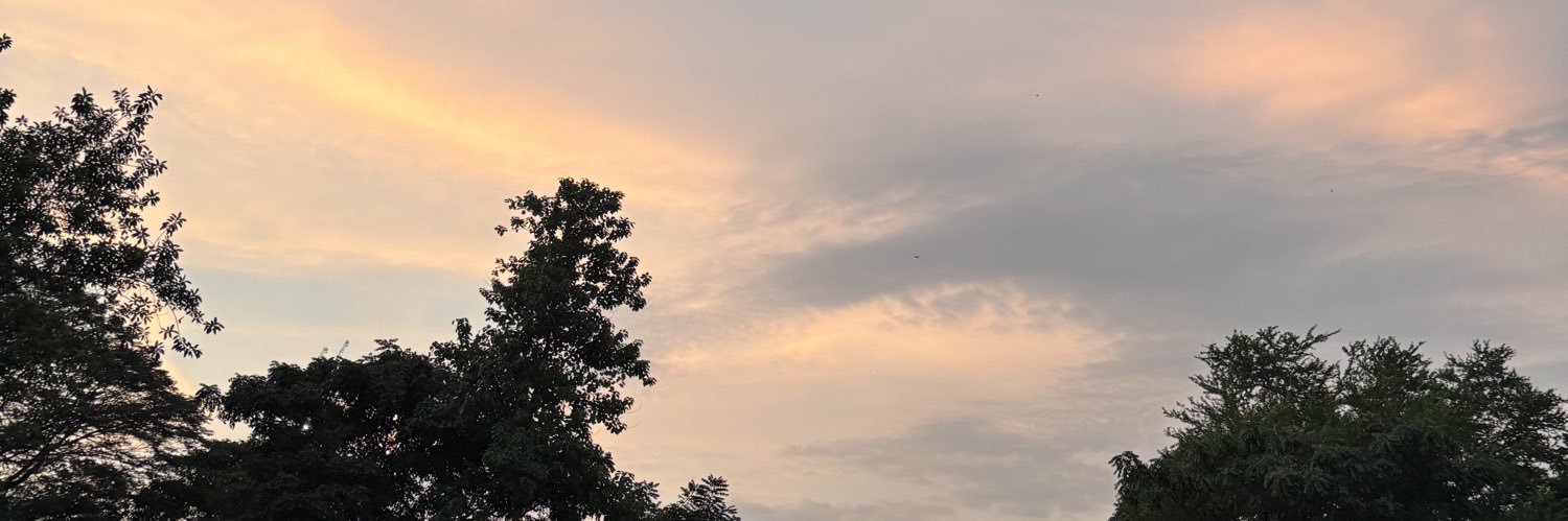 ribsvie's profile banner image