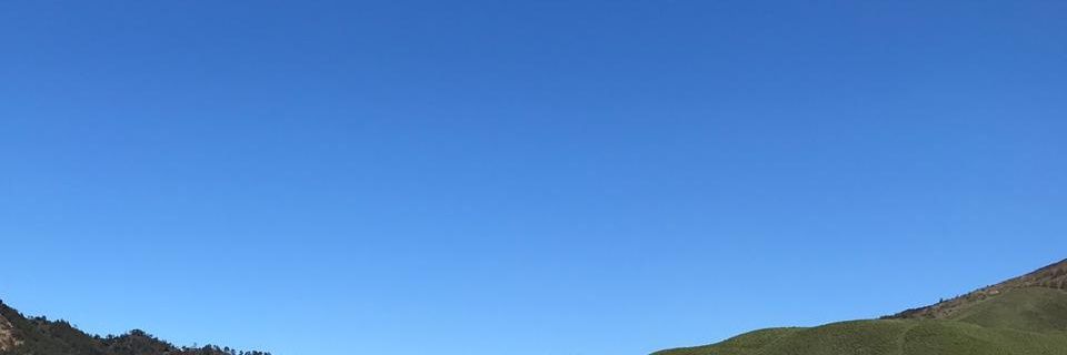 nihkotin's profile banner image