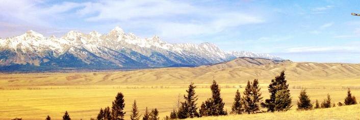 Katie Wolitarsky banner