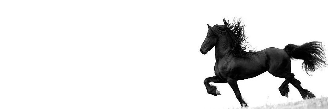 uau's profile banner image
