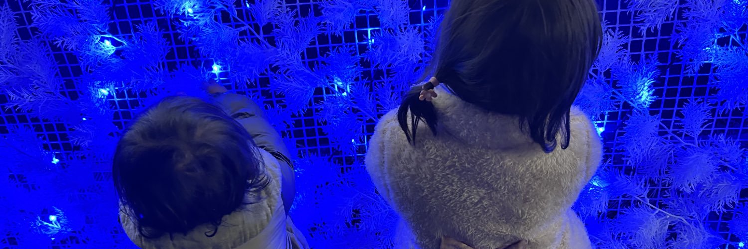 misaki(みちゃめろ)🦔🌸 banner