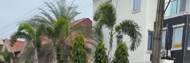 AFeez banner