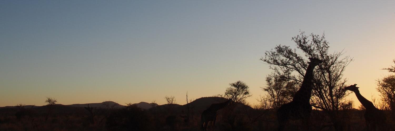 Cindy McLaughlin banner