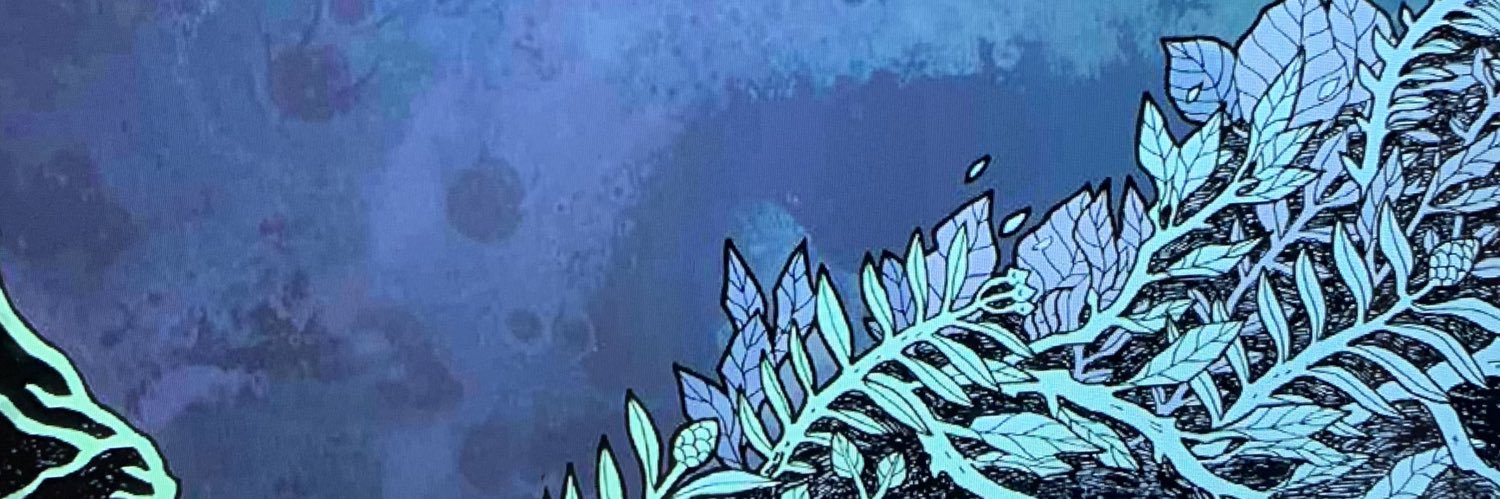 luceo_mark(rest) banner