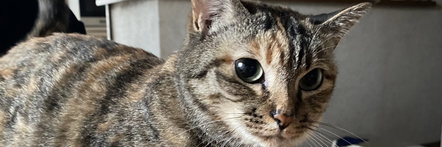 睦月 夕@福a!両日 banner