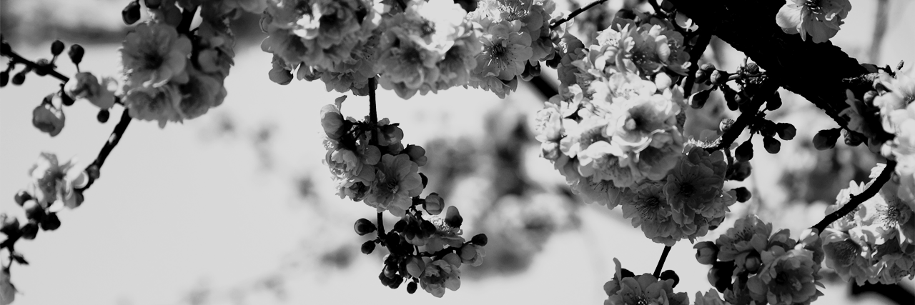 msbennets's profile banner image