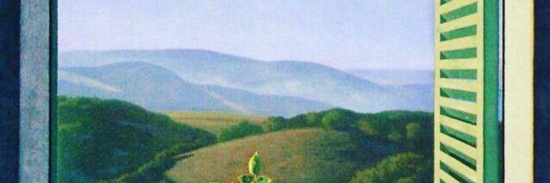 ozadanir99's profile banner image