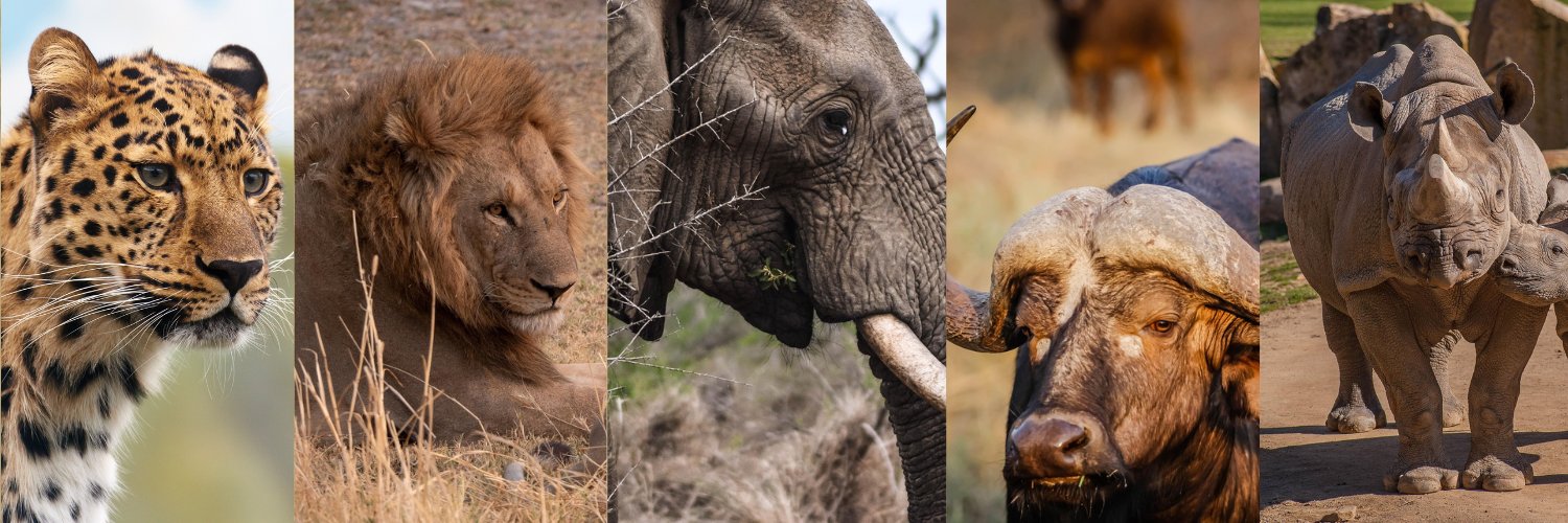 Cilliers de Bruyn banner