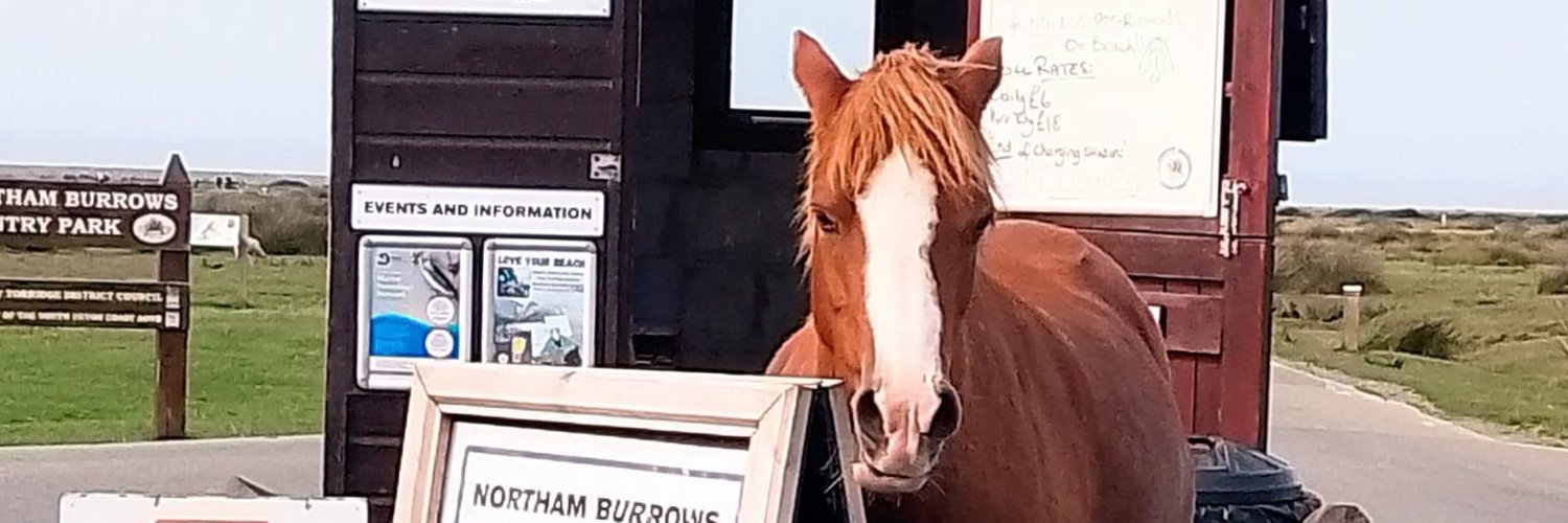 Annie Gallop Profile Banner