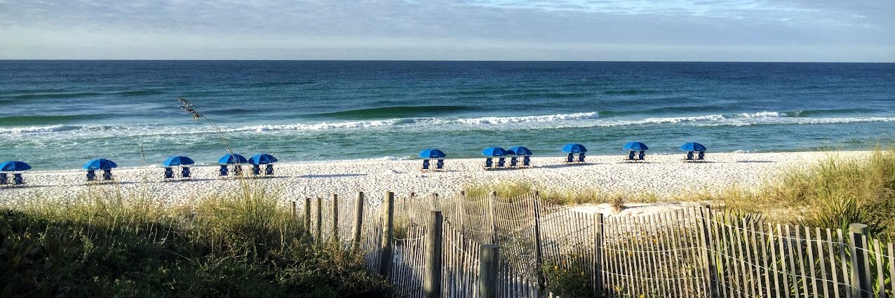 Patrick Cummins banner