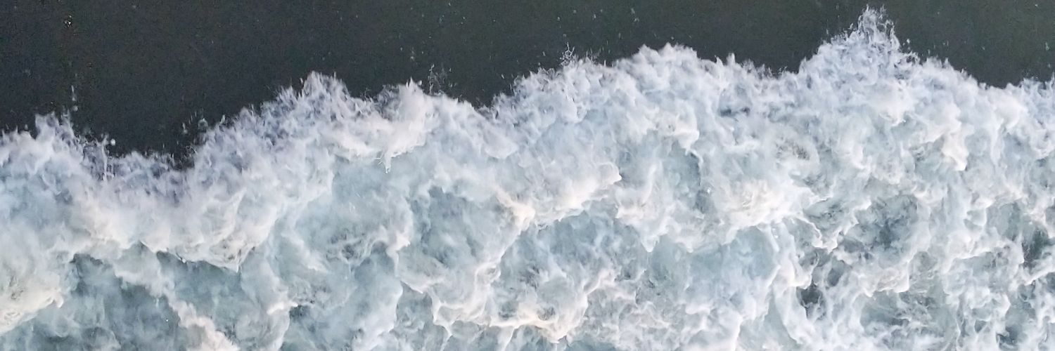 Pariima37's profile banner image
