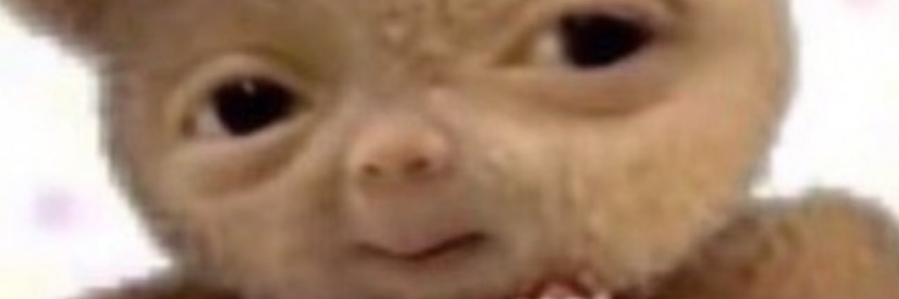 lizardboylucas's profile banner image