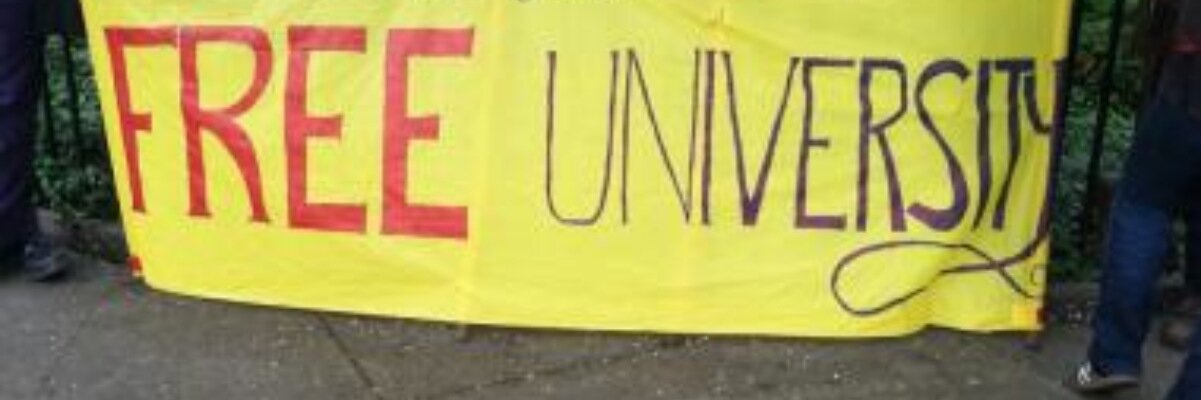 🌈 Dr Holstein banner