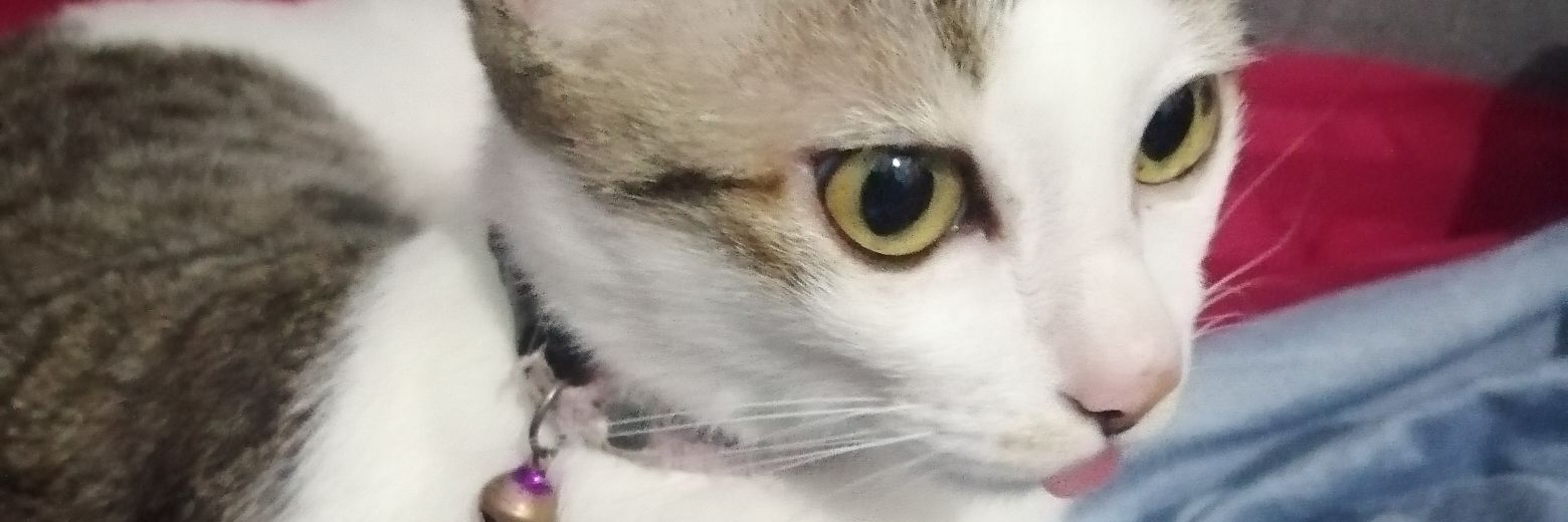 maewbaww's profile banner image