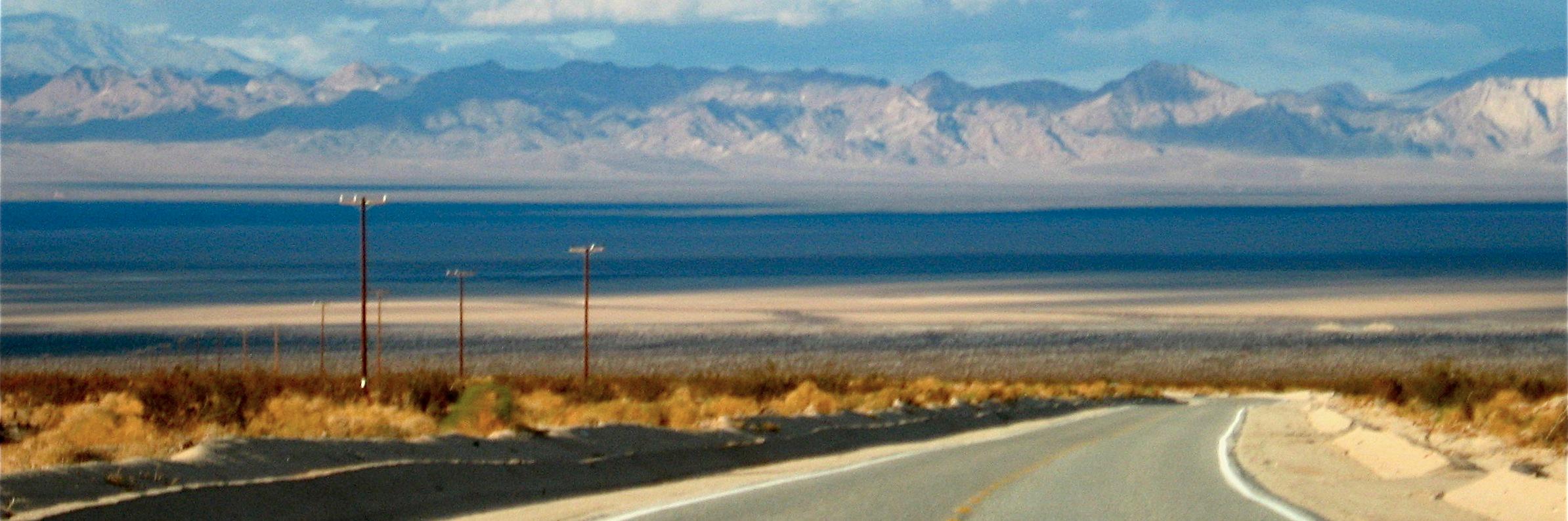 T. Deniz Erkmen banner