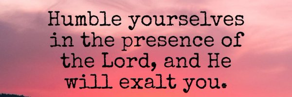 NaodeMeles5 Profile Banner