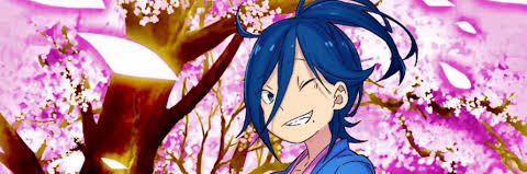 Zorru banner