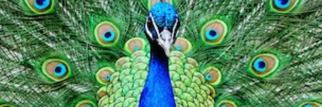 Saiful7o's profile banner image