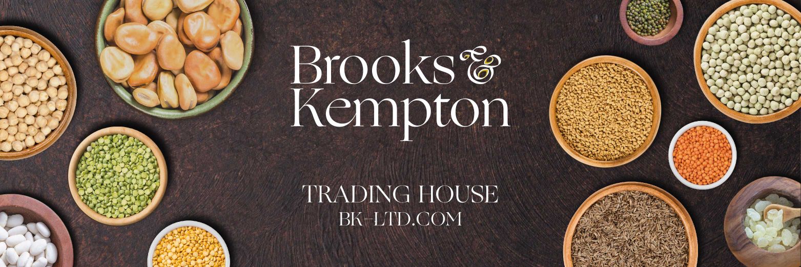 BrooksKempton's profile banner image