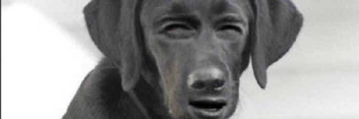Toridatbitch96 banner